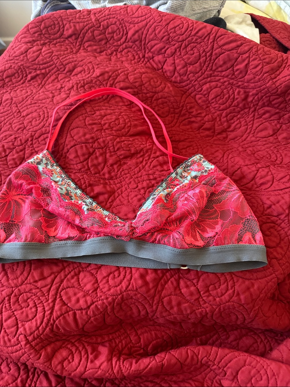 Free People Pink Lace Bralette with Gray Band